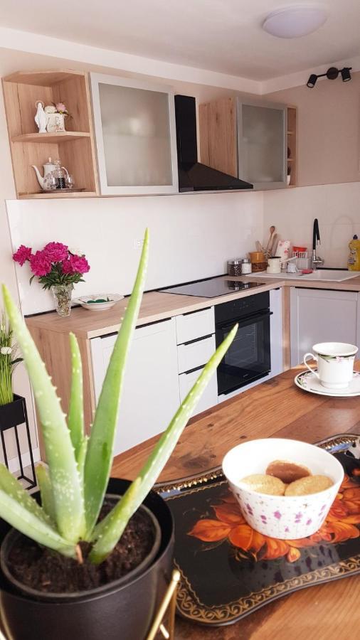 Suite By The Beach For 2 Cavtat Ngoại thất bức ảnh